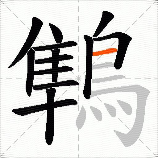 鶽