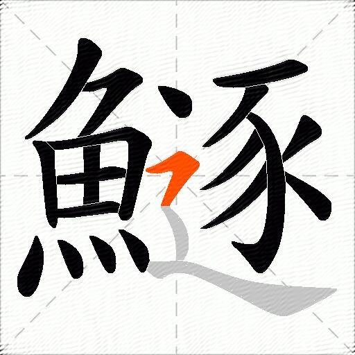 鱁