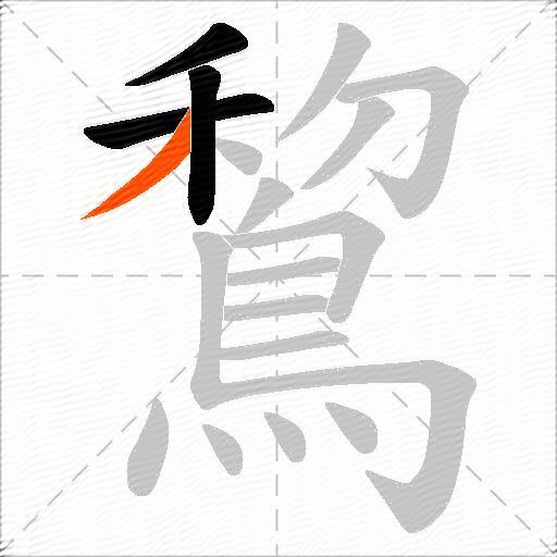 鵹