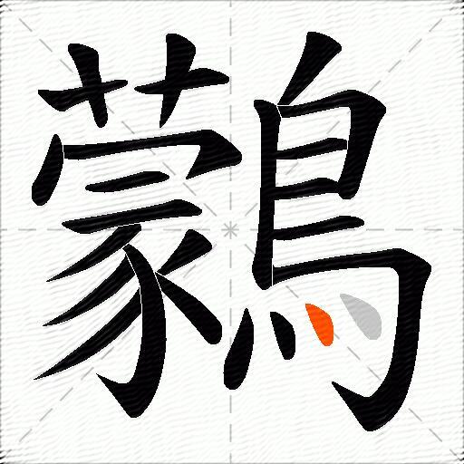 鸏