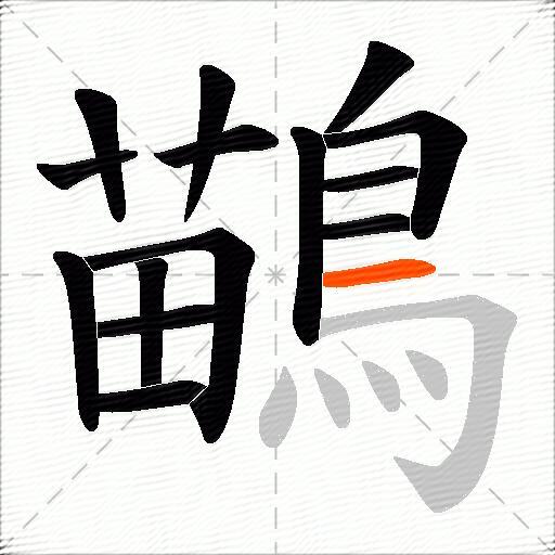 鶓