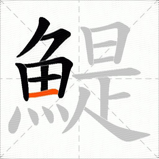 鯷