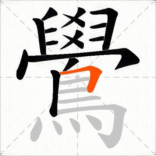 鷽