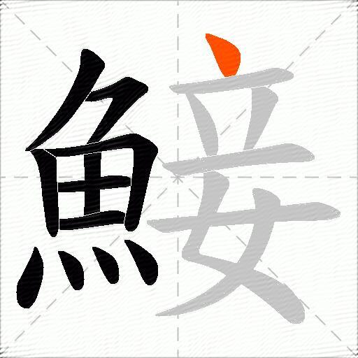 鯜