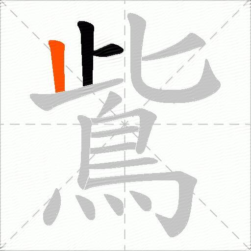 鴜