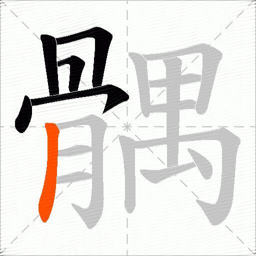 髃