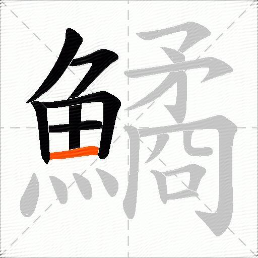 鱊