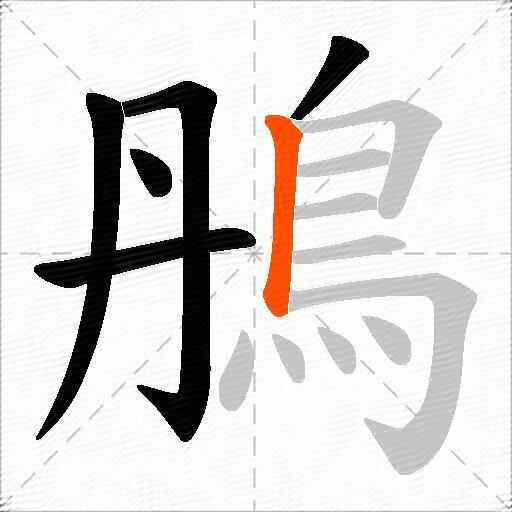 鴅