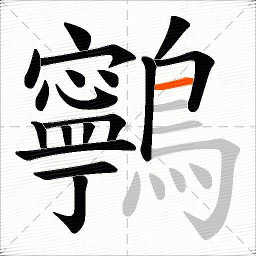 鸋