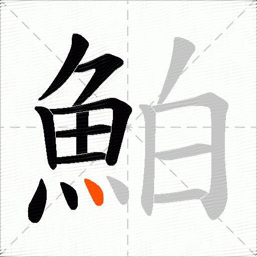 鮊