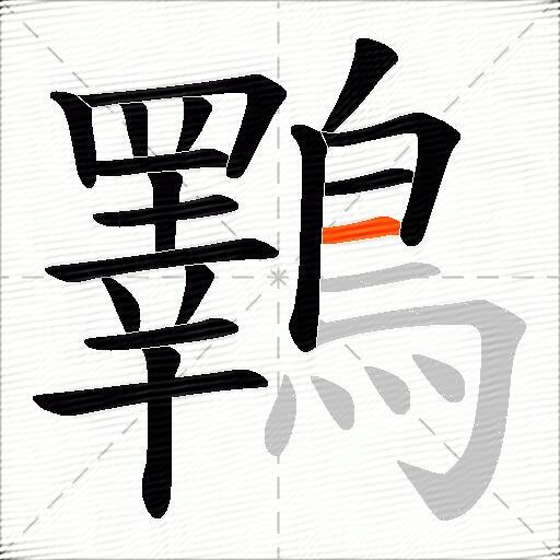 鸅