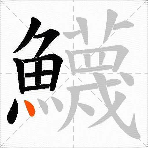 鱴