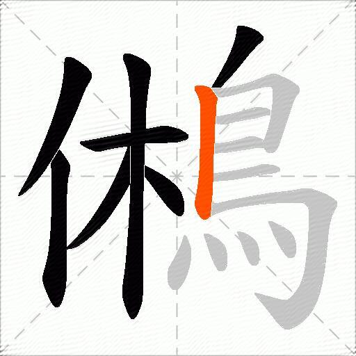 鵂