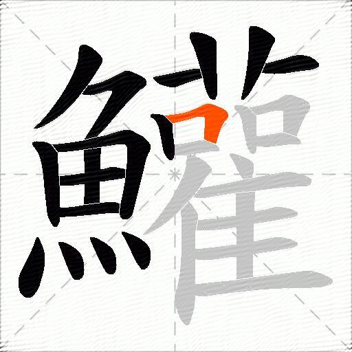 鱹