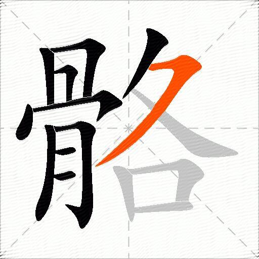 骼