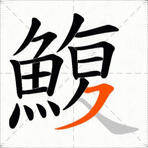 鰒