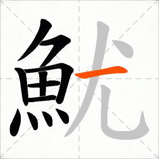 魷