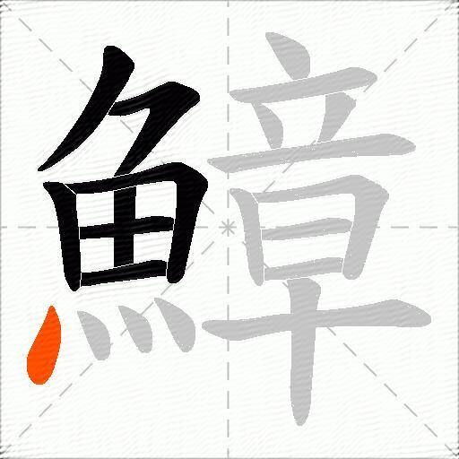 鱆