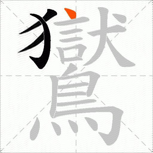 鸑