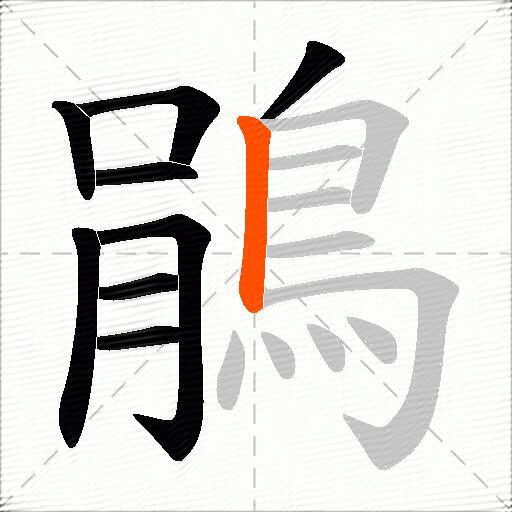 鵑