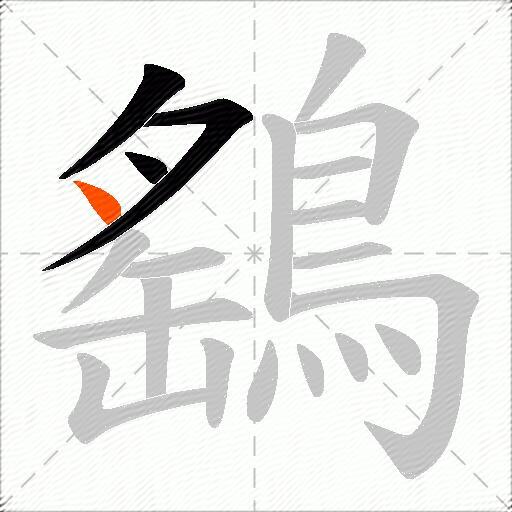 鷂