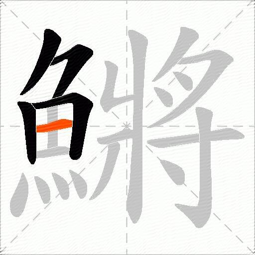 鱂