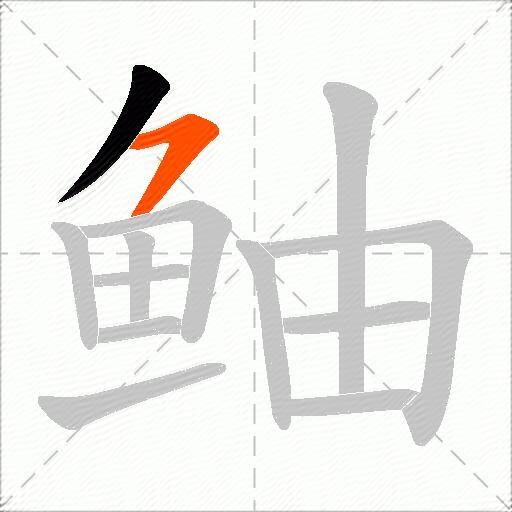 鲉