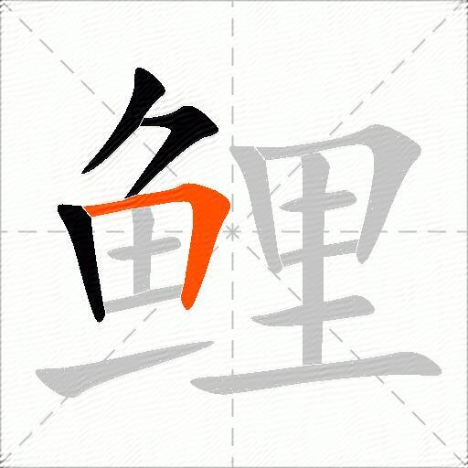 鲤