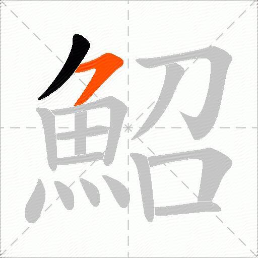 鮉