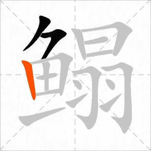 鳎