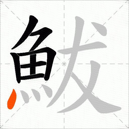 鮁