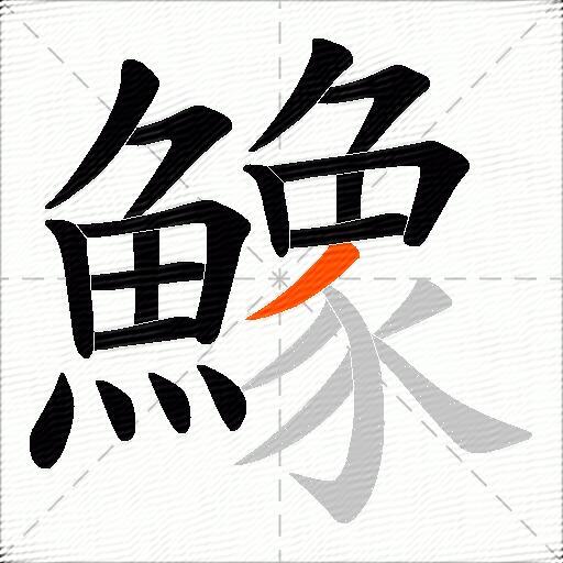 鱌
