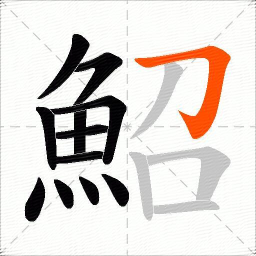 鮉