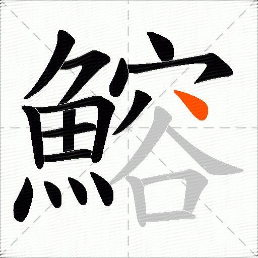 鰫