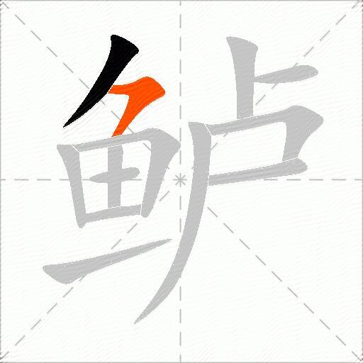 鲈