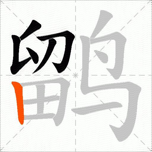 鹠