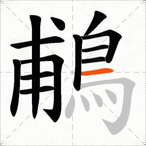 鵏