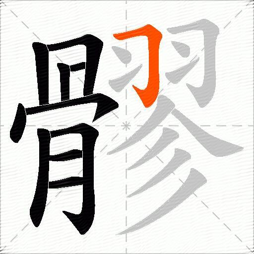 髎