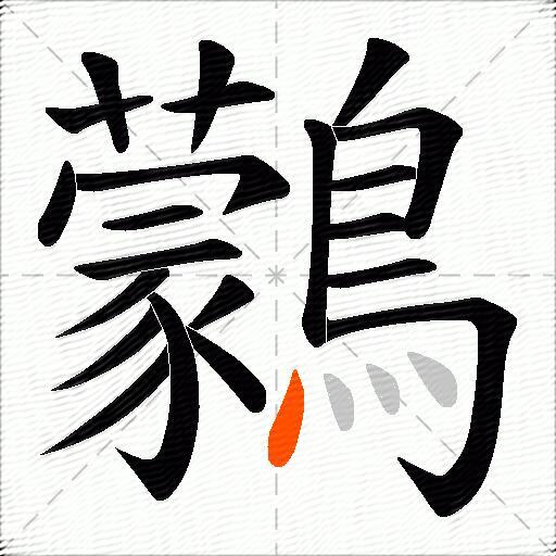 鸏
