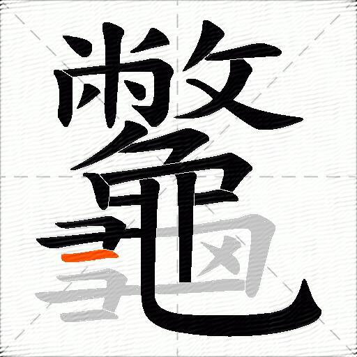 龞