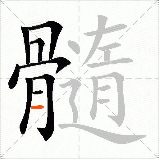 髓