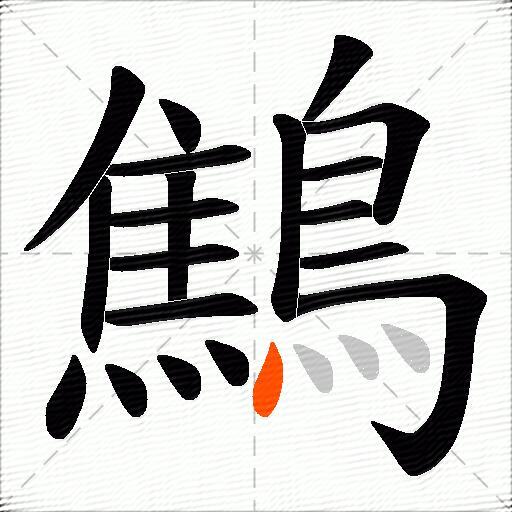 鷦