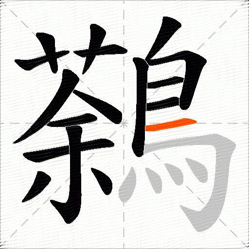 鷋