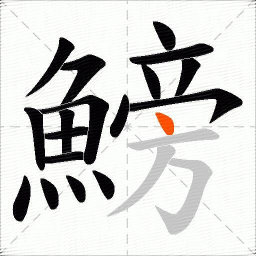 鰟