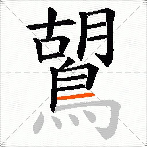 鶦