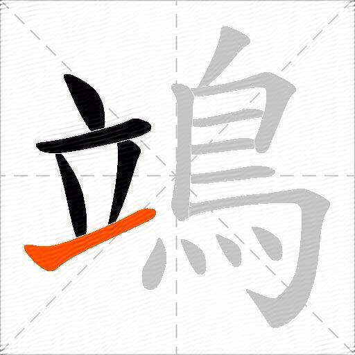 鴗