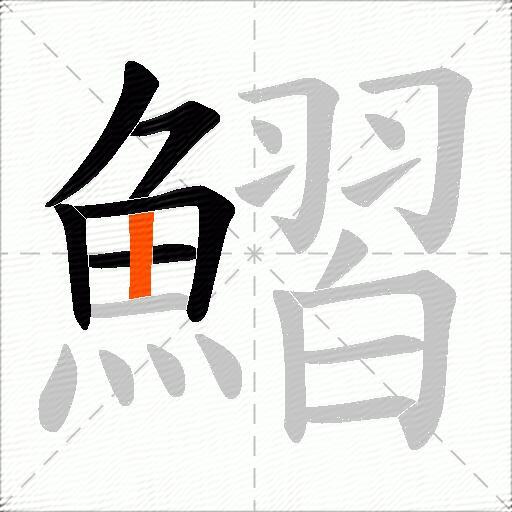 鰼