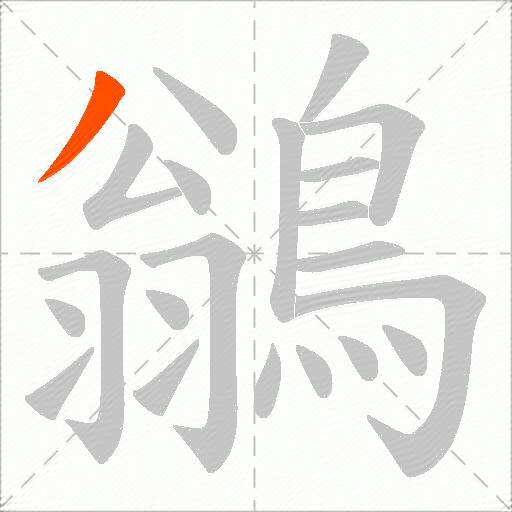 鶲