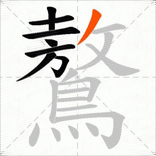 鷔