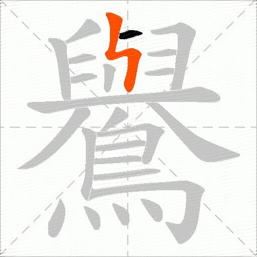 鸒